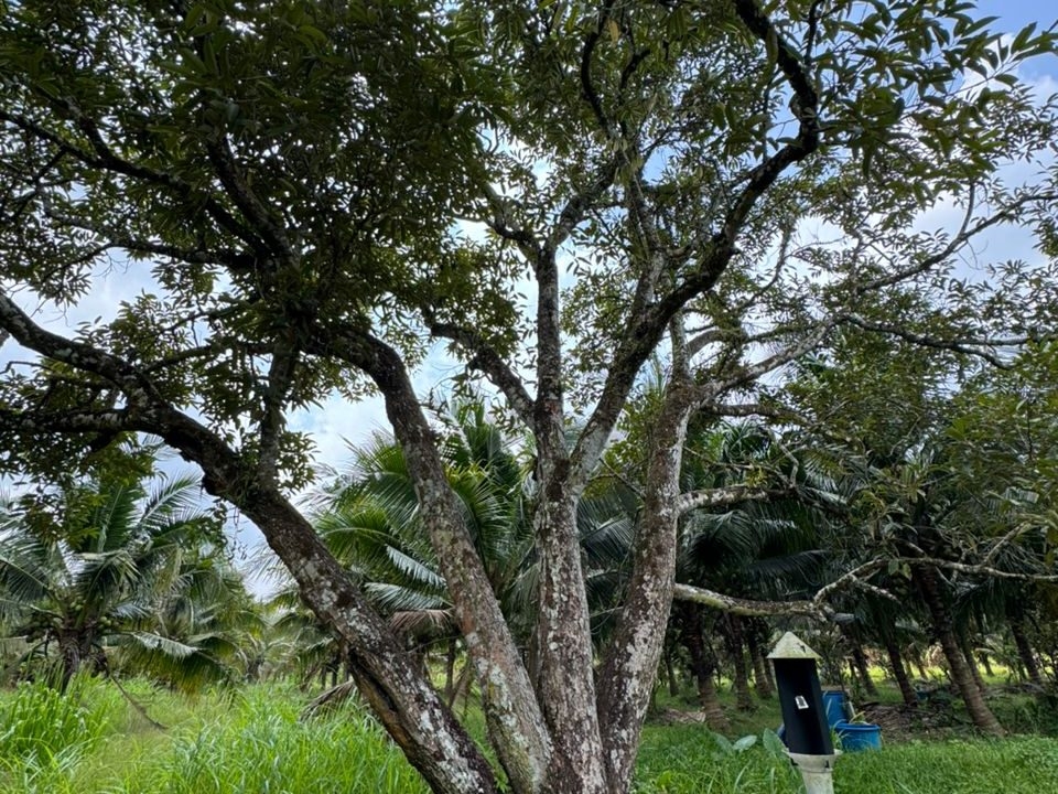 9861d5aa-c134-4da8-b403-d03b16deea16