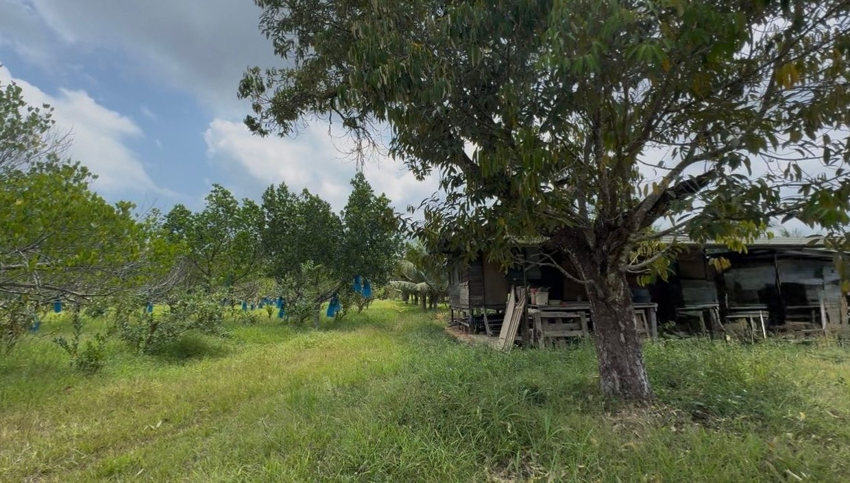 b009d547-da9d-49de-ad85-5cf7708e9998