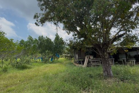 b009d547-da9d-49de-ad85-5cf7708e9998