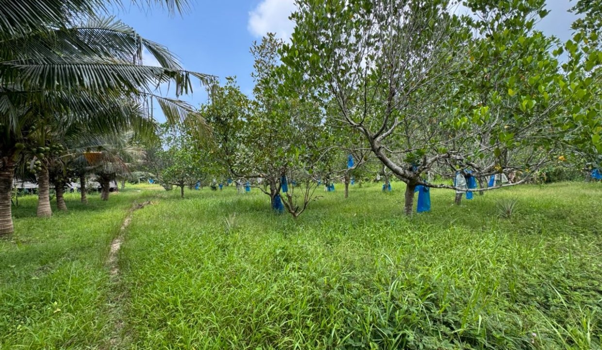 b27c6ef8-70b1-4b35-931d-c69505a98031