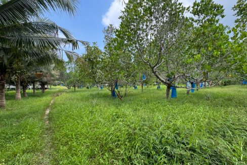 b27c6ef8-70b1-4b35-931d-c69505a98031