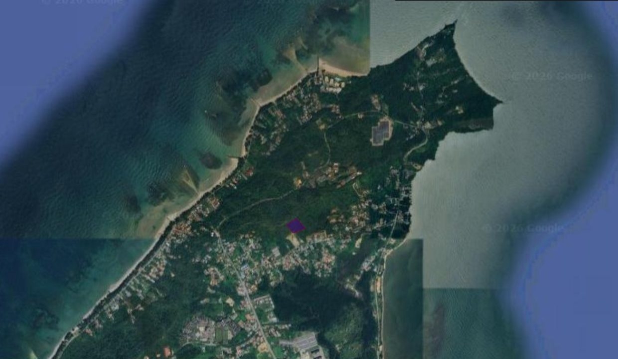 d2cc6759-0302-450d-9852-7f4888bd2f74