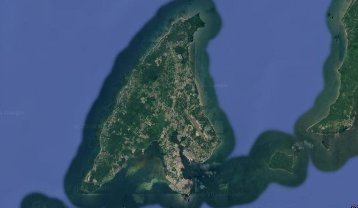 ea02d391-e062-4eb3-b5b0-ee02dd302188