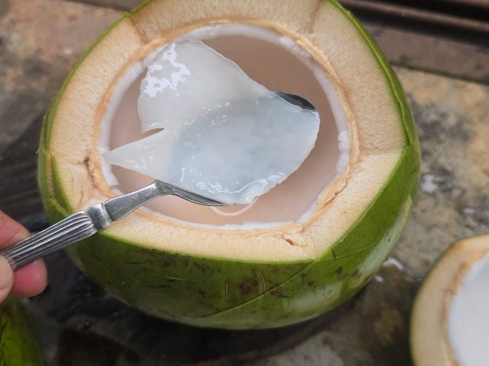 ed36ca02-5597-4460-a2ea-b12a670bcf95