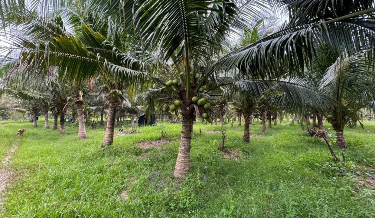 f40d5b23-b7b3-44b9-a793-253b7d8a865b