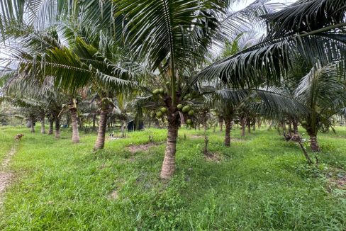 f40d5b23-b7b3-44b9-a793-253b7d8a865b